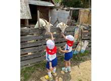 保育方針 画像イメージ その3